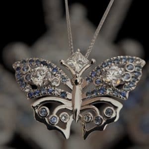 butterfly butterfly